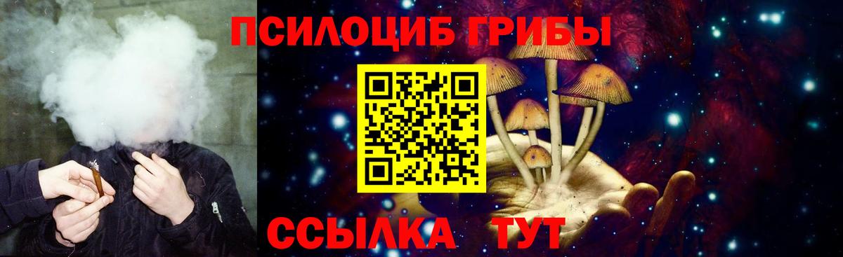 Старый Оскол  Галлюциногенные грибы Cubensis  Вход с VPN 